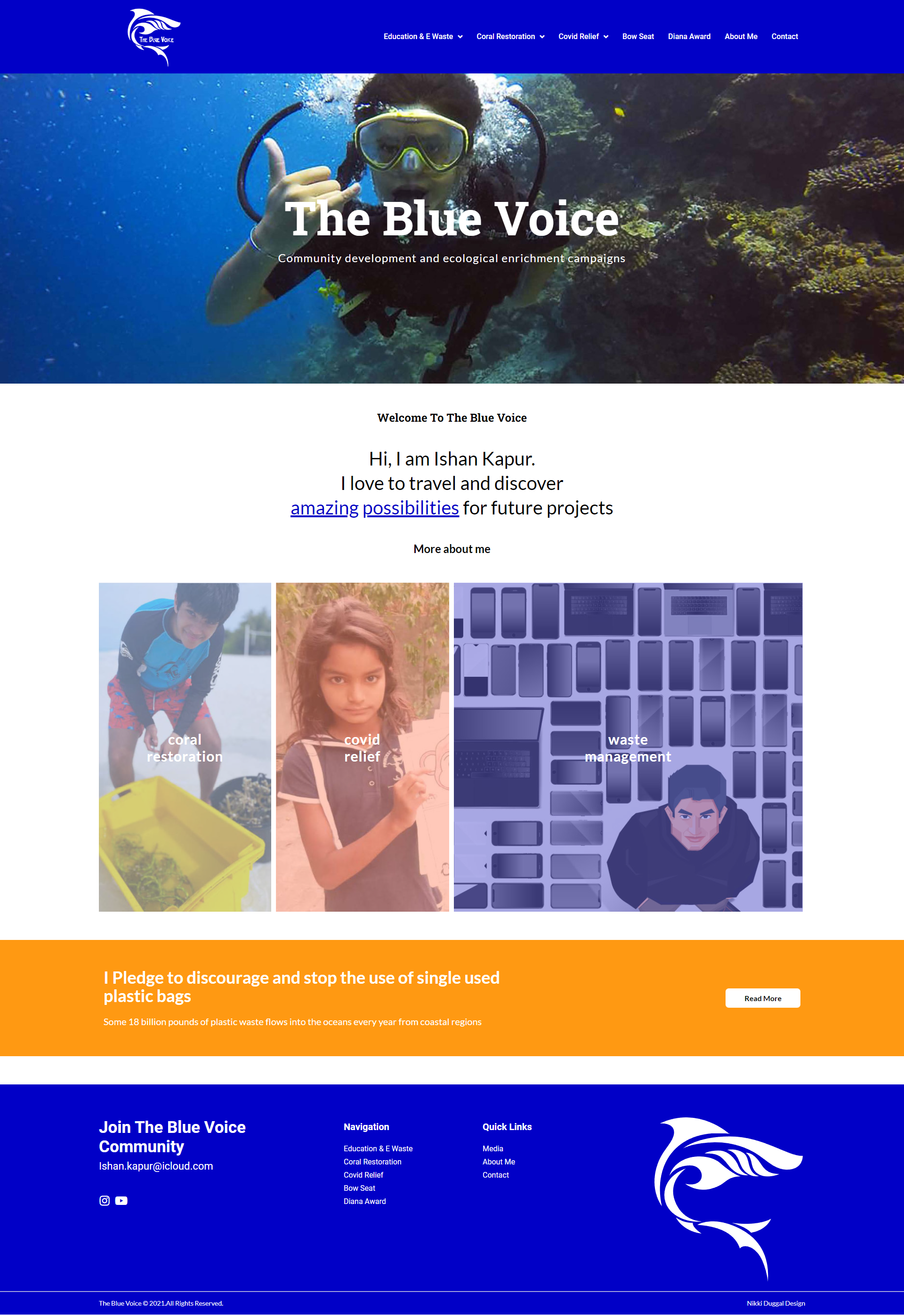 THE BLue Voice Website designed by Alfyi